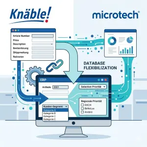microtech ERP Individualisierung
